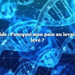 Réponse rapide : Pourquoi mon pain au levain n’a-t-il pas levé ?